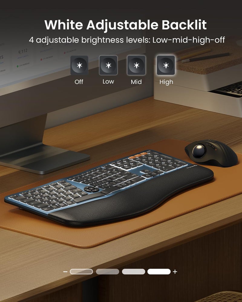 ProtoArc Backlit Bluetooth Ergonomic Keyboard, EK01 Plus Full Size Wireless Split Keyboard with Dual Bluetooth and USB, Cushioned Wrist Rest, Rechargeable, Compatible with Windows/Mac/Android, Blue - Image 3